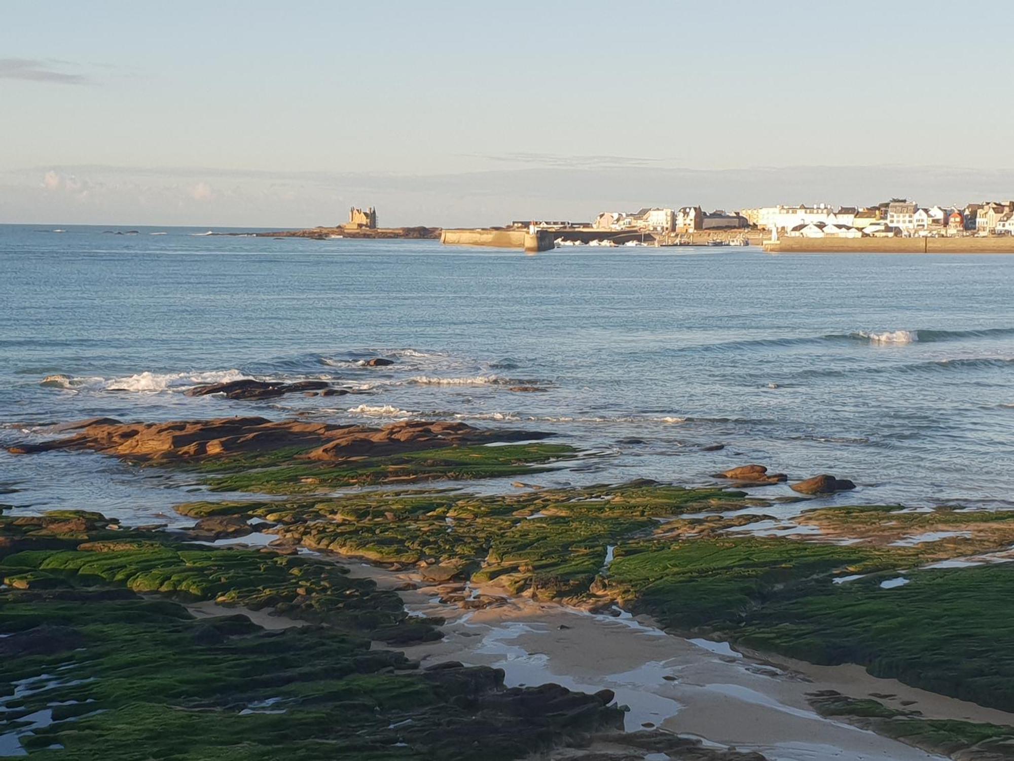 Appartement Cocon A Quiberon Dans Residence Calme, Plages Et Centre Ville A Pied Ou A Velo Pour 2 A 4 Personnes Bagian luar foto