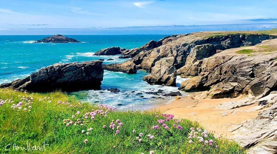 Appartement Cocon A Quiberon Dans Residence Calme, Plages Et Centre Ville A Pied Ou A Velo Pour 2 A 4 Personnes Bagian luar foto