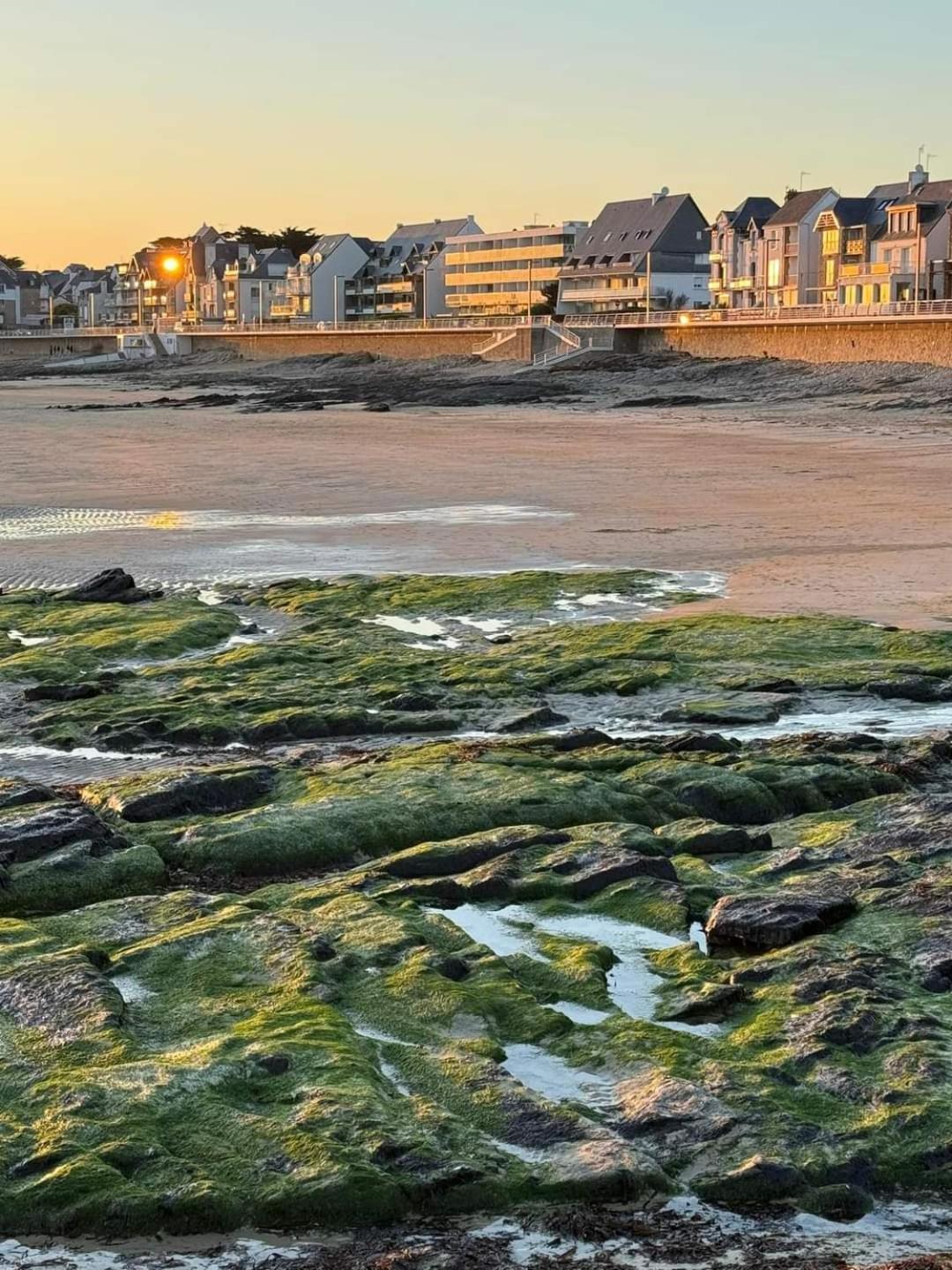Appartement Cocon A Quiberon Dans Residence Calme, Plages Et Centre Ville A Pied Ou A Velo Pour 2 A 4 Personnes Bagian luar foto