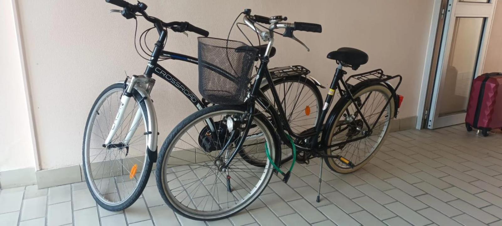 Appartement Cocon A Quiberon Dans Residence Calme, Plages Et Centre Ville A Pied Ou A Velo Pour 2 A 4 Personnes Bagian luar foto